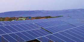 河南信阳荒山项目