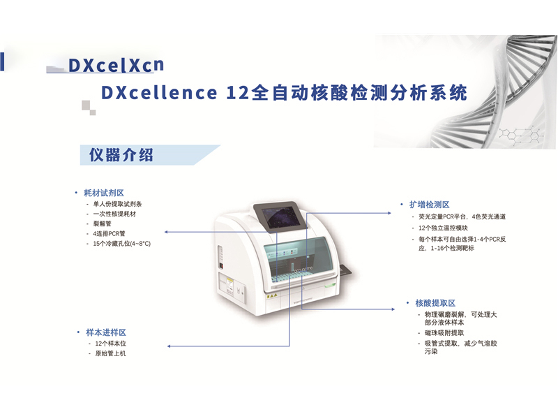 DXcellence12全自动核酸检测系统