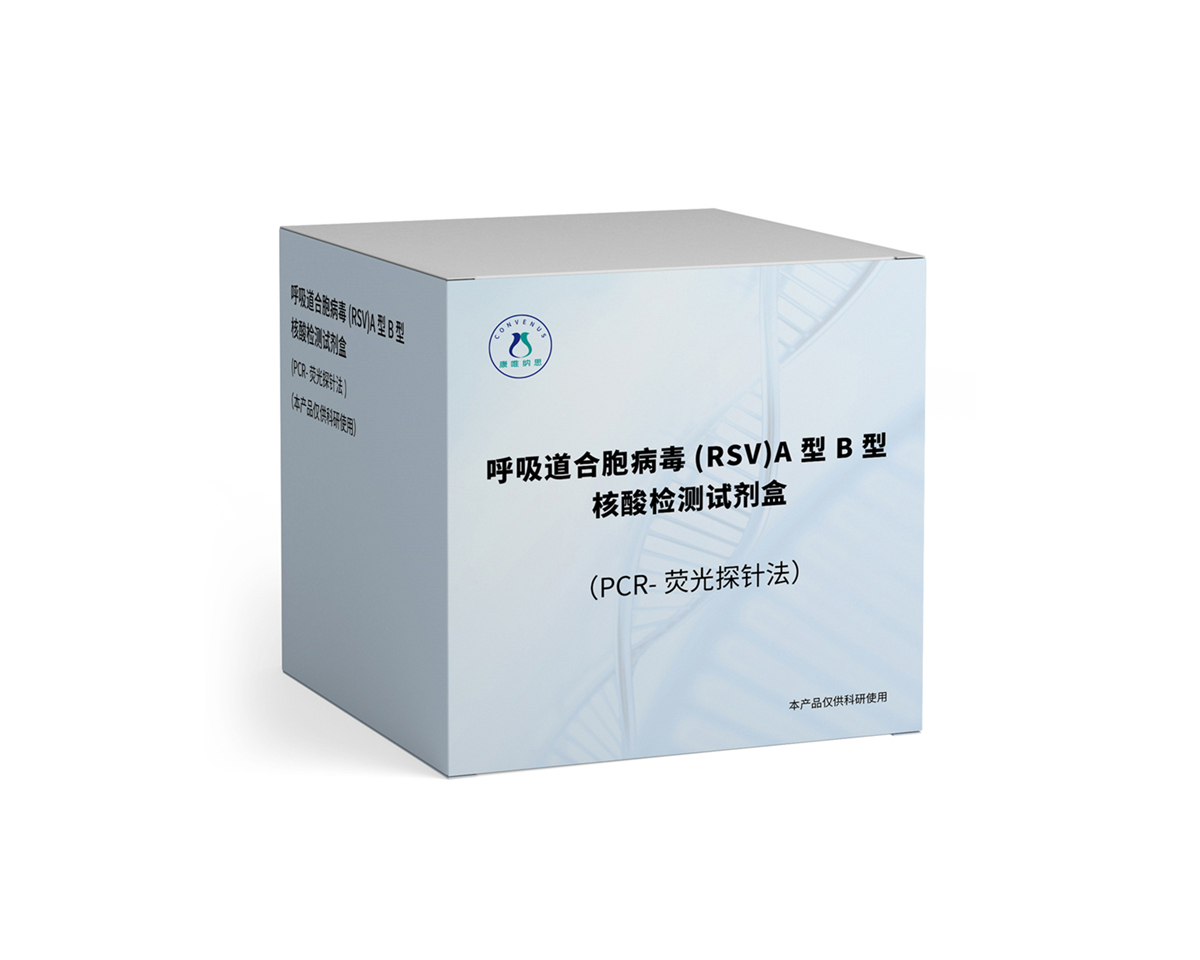 呼吸道合胞病毒(RSV)A 型 B 型核酸检测试剂盒