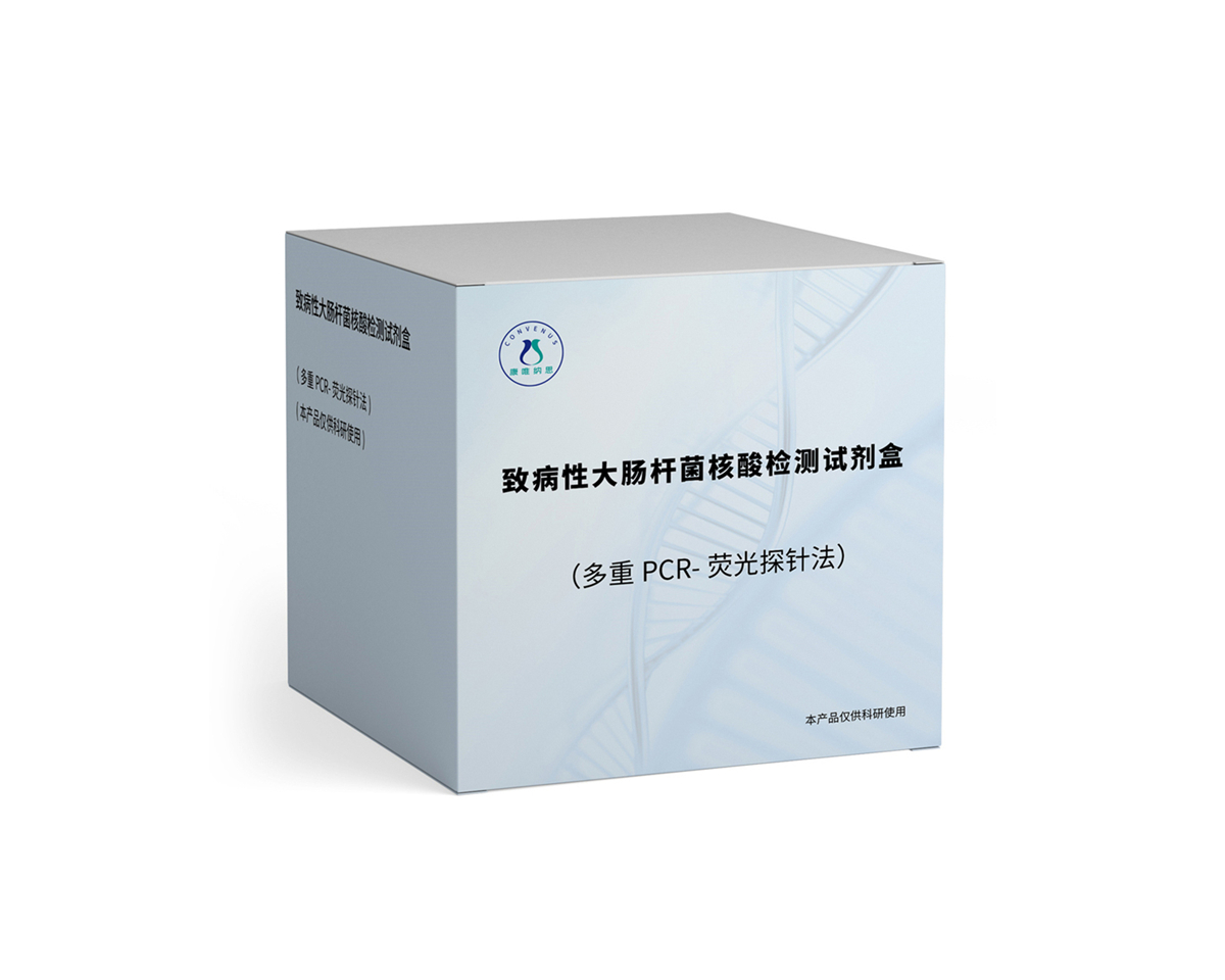 致病性大肠杆菌核酸检测试剂盒